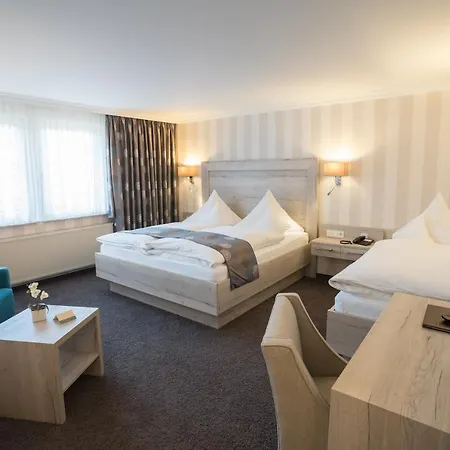 Garni Fuerst Von Waldeck 3* Віллінген