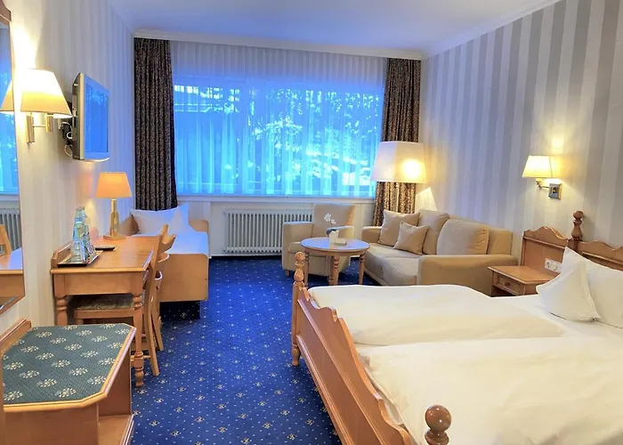 Garni Fuerst Von Waldeck Hotel Willingen (Upland)